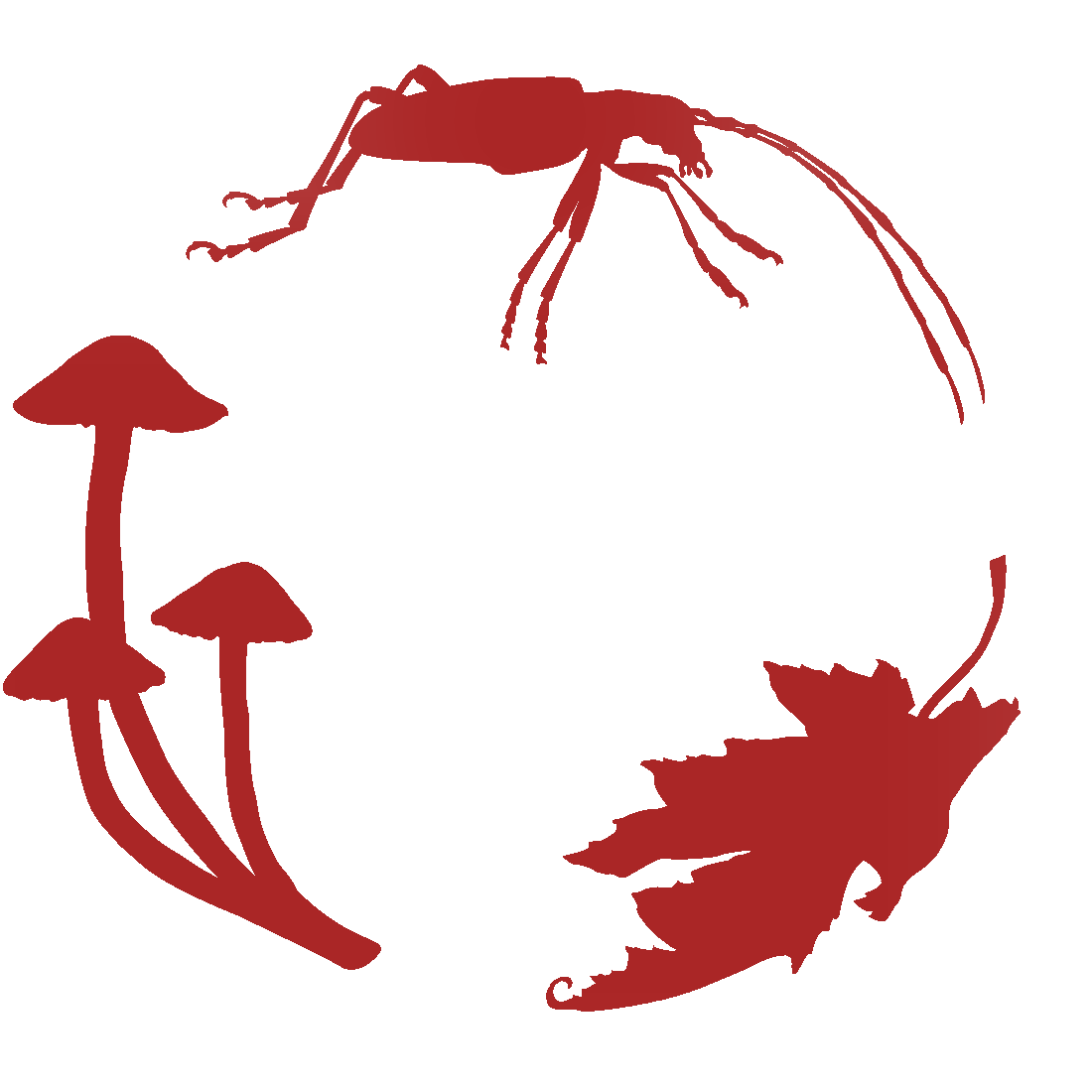 Canadensys